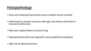 Histopathology
• Ducts are thickened (connective tissue+smooth muscle strands)
• Inflammatory reaction increases with age, may lead to ulceration in
mucosa & submucosa
• May lack a typical biliary mucosal lining
• Repeated destruction and regrowth causes epithelial metaplasia
• High risk of adenocarcinoma
 