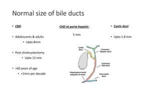 Normal size of bile ducts
• CBD
• Adolescents & adults
• Upto 8mm
• Post cholecystectomy
• Upto 12 mm
• >60 years of age
• +1mm per decade
• Cystic duct
• Upto 1.8 mm
CHD at porta hepatis-
5 mm
 