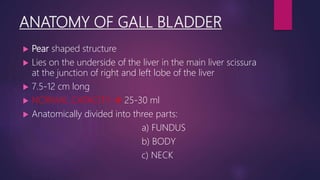 ANATOMY OF GALL BLADDER
 Pear shaped structure
 Lies on the underside of the liver in the main liver scissura
at the junction of right and left lobe of the liver
 7.5-12 cm long
 NORMAL CAPACITY  25-30 ml
 Anatomically divided into three parts:
a) FUNDUS
b) BODY
c) NECK
 