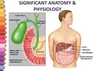 SIGNIFICANT ANATOMY &
PHYSIOLOGY
 