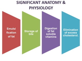 SIGNIFICANT ANATOMY &
PHYSIOLOGY
Emulsi
fication
of fat
Storage of
bile
Digestion
of fat
soluble
vitamins
Elimination
of excess
cholesterol.
 
