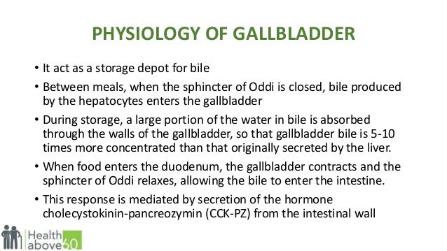 Anatomy of Cholelithiasis