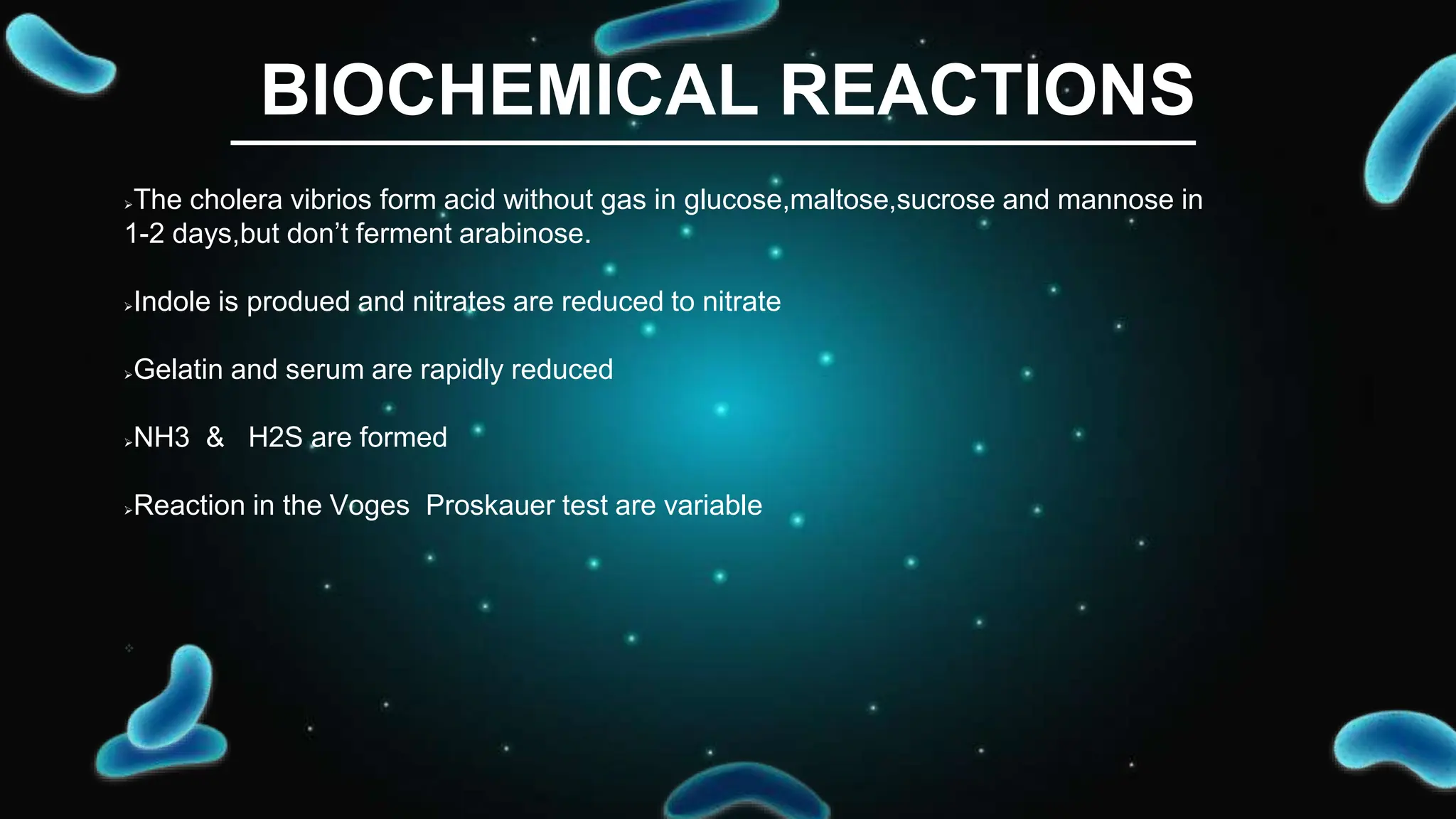 Vibrio cholera disease presentation slide | PPT