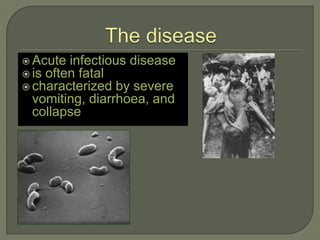  Acute infectious disease
 is often fatal
 characterized by severe
 vomiting, diarrhoea, and
 collapse
 