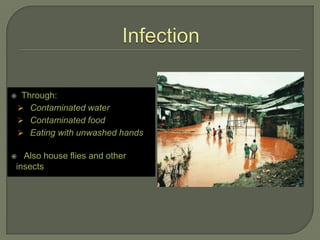     Through:
     Contaminated water
     Contaminated food
     Eating with unwashed hands

 Also house flies and other
insects
 