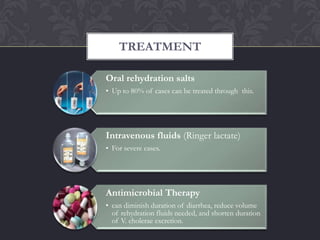 TREATMENT

Oral rehydration salts
• Up to 80% of cases can be treated through this.




Intravenous fluids (Ringer lactate)
• For severe cases.




Antimicrobial Therapy
• can diminish duration of diarrhea, reduce volume
  of rehydration fluids needed, and shorten duration
  of V. cholerae excretion.
 