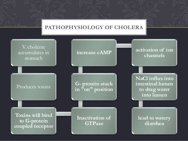 Cholera urinary output diagram 
