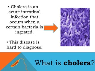 Vibrio
Cholerae
What is cholera?
• Cholera is an
acute intestinal
infection that
occurs when a
certain bacteria is
ingested.
• This disease is
hard to diagnose.
 