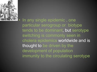 • In any single epidemic , one
particular serogroup or biotype
tends to be dominant, but serotype
switching is commonly seen in
cholera epidemics worldwide and is
thought to be driven by the
development of population
immunity to the circulating serotype
 