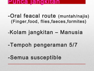 Punca jangkitan
-Oral feacal route (muntah/najis)
(Finger,food, flies,faeces,formites)
-Kolam jangkitan – Manusia
-Tempoh pengeraman 5/7
-Semua susceptible
 