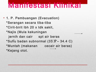 Manifestasi Klinikal
• 1. P. Pembuangan (Evacuation)
*Serangan secara tiba-tiba
*Cirit-birit lbh 20 x tdk sakit,
*Najis (Mula kekuningan
jernih dan cair spt air beras
*Suhu badan subnormal (33.9 – 34.4 C)
*Muntah (makanan cecair air beras)
*Kejang otot.
 