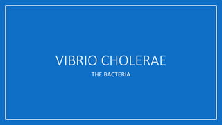VIBRIO CHOLERAE
THE BACTERIA
 