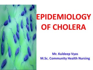 EPIDEMIOLOGY
OF CHOLERA
Mr. Kuldeep Vyas
M.Sc. Community Health Nursing
 