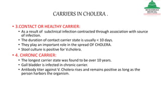 CARRIERS IN CHOLERA .
• 3.CONTACT OR HEALTHY CARRIER:
• As a result of subclinical infection contracted through association with source
of infection.
• The duration of contact carrier state is usually < 10 days.
• They play an important role in the spread OF CHOLERA.
• Stool culture is positive for V.cholera.
• 4. CHRONIC CARRIER:
• The longest carrier state was found to be over 10 years.
• Gall bladder is infected in chronic carrier.
• Antibody titer against V. Cholera rises and remains positive as long as the
person harbors the organism.
 