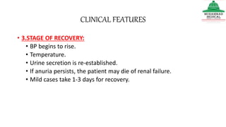 CLINICAL FEATURES
• 3.STAGE OF RECOVERY:
• BP begins to rise.
• Temperature.
• Urine secretion is re-established.
• If anuria persists, the patient may die of renal failure.
• Mild cases take 1-3 days for recovery.
 