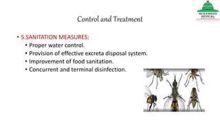 Control and Treatment
• 5.SANITATION MEASURES:
• Proper water control.
• Provision of effective excreta disposal system.
• Improvement of food sanitation.
• Concurrent and terminal disinfection.
 