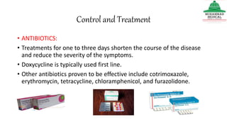 Control and Treatment
• ANTIBIOTICS:
• Treatments for one to three days shorten the course of the disease
and reduce the severity of the symptoms.
• Doxycycline is typically used first line.
• Other antibiotics proven to be effective include cotrimoxazole,
erythromycin, tetracycline, chloramphenicol, and furazolidone.
 