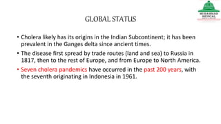 GLOBAL STATUS
• Cholera likely has its origins in the Indian Subcontinent; it has been
prevalent in the Ganges delta since ancient times.
• The disease first spread by trade routes (land and sea) to Russia in
1817, then to the rest of Europe, and from Europe to North America.
• Seven cholera pandemics have occurred in the past 200 years, with
the seventh originating in Indonesia in 1961.
 