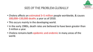 SIZE OF THE PROBLEM GLOBALLY
• Cholera affects an estimated 3–5 million people worldwide, & causes
100,000–130,000 deaths a year as of 2010.
• This occurs mainly in the developing world.
• In the early 1980s, death rates are believed to have been greater than
3 million a year.
• Cholera remains both epidemic and endemic in many areas of the
world.
 