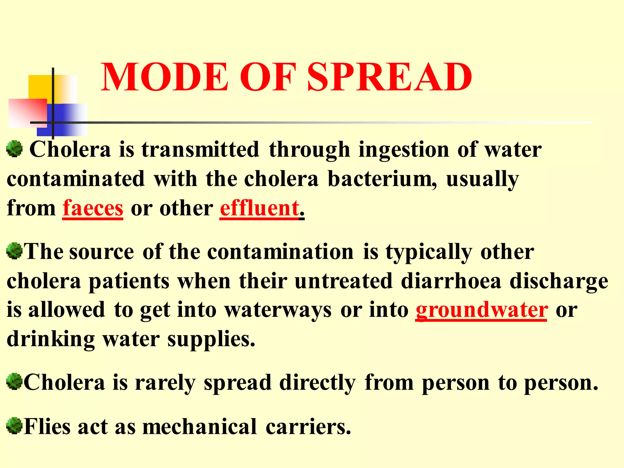 Cholera | PPT