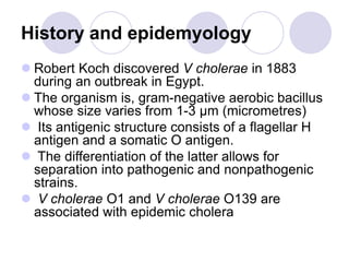 History and epidemyology
 Robert Koch discovered V cholerae in 1883
during an outbreak in Egypt.
 The organism is, gram-negative aerobic bacillus
whose size varies from 1-3 μm (micrometres)
 Its antigenic structure consists of a flagellar H
antigen and a somatic O antigen.
 The differentiation of the latter allows for
separation into pathogenic and nonpathogenic
strains.
 V cholerae O1 and V cholerae O139 are
associated with epidemic cholera
 