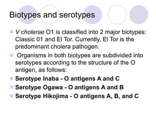 Biotypes and serotypes
 V cholerae O1 is classified into 2 major biotypes:
Classic 01 and El Tor. Currently, El Tor is the
predominant cholera pathogen.
 Organisms in both biotypes are subdivided into
serotypes according to the structure of the O
antigen, as follows:
 Serotype Inaba - O antigens A and C
 Serotype Ogawa - O antigens A and B
 Serotype Hikojima - O antigens A, B, and C
 