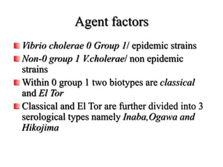 Agent factors
Vibrio cholerae 0 Group 1/ epidemic strains
Non-0 group 1 V.cholerae/ non epidemic
strains
Within 0 group 1 two biotypes are classical
and El Tor
Classical and El Tor are further divided into 3
serological types namely Inaba,Ogawa and
Hikojima
 