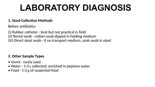 CHOLERA disease psm ppt cholera disease.pptx