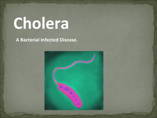 Cholera
A Bacterial Infected Disease.
 