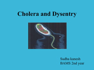Cholera and Dysentry
Sudha kanesh
BAMS 2nd year
 