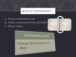 a) Fecaly contaminated water
b) Fecaly contaminated foods and drinks
c) Direct contact
MODE OF TRANSMISSION
Man Man
 