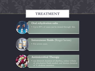 Oral rehydration salts
• Up to 80% of cases can be treated through this.
Intravenous fluids (Ringer lactate)
• For severe cases.
Antimicrobial Therapy
• can diminish duration of diarrhea, reduce volume
of rehydration fluids needed, and shorten duration
of V. cholerae excretion.
TREATMENT
 