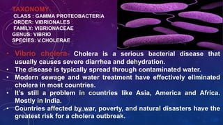 TAXONOMY-
CLASS : GAMMA PROTEOBACTERIA
ORDER: VIBRIONALES
FAMILY: VIBRIONACEAE
GENUS: VIBRIO
SPECIES: V.CHOLERAE
• Vibrio cholera- Cholera is a serious bacterial disease that
usually causes severe diarrhea and dehydration.
• The disease is typically spread through contaminated water.
• Modern sewage and water treatment have effectively eliminated
cholera in most countries.
• It’s still a problem in countries like Asia, America and Africa.
Mostly in India.
• Countries affected by war, poverty, and natural disasters have the
greatest risk for a cholera outbreak.
K R MICRO NOTES 3
 