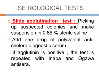 SE ROLOGICAL TESTS
Slide agglutination test : Picking
up suspected colonies and make
suspension in 0.85 % sterile saline .
Add one drop of polyvalent anti-
cholera diagnostic serum.
If agglutinin is positive , the test is
repeated with Inaba and Ogawa
antisera.