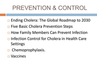 PREVENTION & CONTROL
Ending Cholera: The Global Roadmap to 2030
Five Basic Cholera Prevention Steps
How Family Members Can Prevent Infection
Infection Control for Cholera in Health Care
Settings
Chemoprophylaxis.
Vaccines