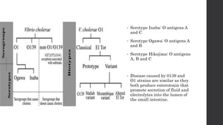 • Serotype Inaba: O antigens A
and C
• Serotype Ogawa: O antigens A
and B
• Serotype Hikojima: O antigens
A, B and C
• Disease caused by 0139 and
O1 strains are similar as they
both produce enterotoxin that
promote secretion of fluid and
electrolytes into the lumen of
the small intestine.
 