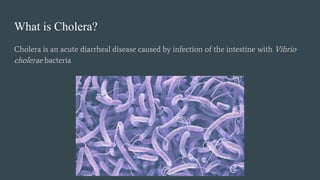 What is Cholera?
Cholera is an acute diarrheal disease caused by infection of the intestine with Vibrio
cholerae bacteria
 