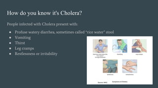 How do you know it's Cholera?
People infected with Cholera present with:
● Profuse watery diarrhea, sometimes called “rice water” stool
● Vomiting
● Thirst
● Leg cramps
● Restlessness or irritability
 