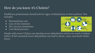 How do you know it's Cholera?
Healthcare professionals should look for signs of dehydration in their patients. This
includes:
● Elevated heart rate
● Loss of skin elasticity
● Dry mucous membranes
● Low blood pressure
People with severe Cholera can develop severe dehydration which can result in kidney
failure. If left untreated severe dehydration can lead to shock, coma, and death within
hours.
 