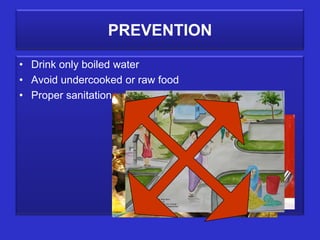 PREVENTION
• Drink only boiled water
• Avoid undercooked or raw food
• Proper sanitation
