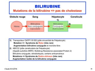 BILIRUBINE
Mutations de la bilirubine => pas de cholestase
Globule rouge Sang Hépatocyte Canalicule 
1)
Claude EUGÈNE !10
Héme
Bilirubine 
Non conjuguée
Liposoluble
Bilirubine 
Conjuguée
Hydrosoluble
1) Transporteur OATP1 B1/B3 (pôle sinusoïdal de l'hépatocyte) 
Mutation => Syndrome de Rotor (très rare) 
Augmentation bilirubine conjuguée et moindre libre
2) ABCC2 (pôle canaliculaire de l'hépatocyte) 
(Appelé autrefois MRP2, Multidrug Resistance associated Protein 2) 
Bilirubine conjuguée, xénobiotiques, certains anticancéreux 
Mutations => Syndrome de Dubin-Johnson (très rare) 
Augmentation isolée de la bilirubine conjuguée
2)
 