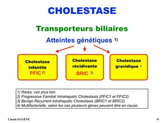 CHOLESTASE
Transporteurs biliaires 
Atteintes génétiques 1)
Claude EUGÈNE !43
Cholestase
infantile
PFIC 2)
Cholestase 
récidivante 
BRIC 3) 
1) Rares, voir plus loin. 
2) Progressive Familial Intrahepatic Cholestasis (PFIC1 et PFIC2) 
3) Benign Recurrent Intrahepatic Cholestasis (BRIC1 et BRIC2)
4) Multifactorielle, selon les cas plusieurs gènes peuvent être en cause.
Cholestase 
gravidique 4) 
 