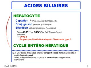 ACIDES BILIAIRES
HÉPATOCYTE 
Captation 1) (Pôle sinusoïdal de l'hépatocyte) 
Conjugaison (à l'acide glucuronique)
Sécrétion (pôle canaliculaire de l'hépatocyte)
 
Gène ABCB11 ou BSEP (Bile Salt Export Pump) 
Mutation 
=> PFIC 2  
Progressive Familial Intrahepatic Cholestasis type 2
 
CYCLE ENTÉRO-HÉPATIQUE
................................................................................
1) a) Une partie des acides biliaires est synthétisée dans l'hépatocyte à 
partir du cholestérol.  
b) Les acides biliaires ont un pouvoir osmotique => appel d'eau 
interstitielle
Claude EUGÈNE !6
 