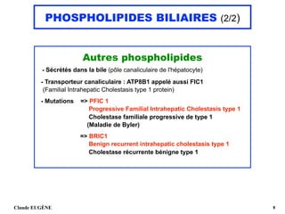 PHOSPHOLIPIDES BILIAIRES (2/2)
Autres phospholipides
- Sécrétés dans la bile (pôle canaliculaire de l'hépatocyte)
- Transporteur canaliculaire : ATP8B1 appelé aussi FIC1 
(Familial Intrahepatic Cholestasis type 1 protein) 
 
- Mutations => PFIC 1 
Progressive Familial Intrahepatic Cholestasis type 1 
Cholestase familiale progressive de type 1  
(Maladie de Byler)
 
=> BRIC1 
Benign recurrent intrahepatic cholestasis type 1 
Cholestase récurrente bénigne type 1 
Claude EUGÈNE !8
 
