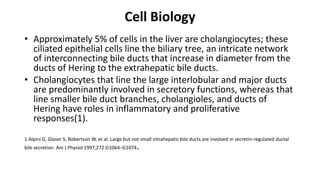 Cell Biology
• Approximately 5% of cells in the liver are cholangiocytes; these
ciliated epithelial cells line the biliary tree, an intricate network
of interconnecting bile ducts that increase in diameter from the
ducts of Hering to the extrahepatic bile ducts.
• Cholangiocytes that line the large interlobular and major ducts
are predominantly involved in secretory functions, whereas that
line smaller bile duct branches, cholangioles, and ducts of
Hering have roles in inflammatory and proliferative
responses(1).
1.Alpini G, Glaser S, Robertson W, et al. Large but not small intrahepatic bile ducts are involved in secretin-regulated ductal
bile secretion. Am J Physiol 1997;272:G1064–G1074.
 