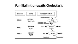 Familial Intrahepatic Cholestasis
 