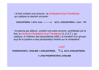 • le foie contient une enzyme : la Cholesterol-Acyl-Transférase
 qui catalyse la réaction suivante :

   CHOLESTEROL + ACYL CoA                 ACYL -CHOLESTEROL + CoA      SH



 • le plasma par ailleurs, contient une autre enzyme, synthétisée par le
 foie, la Lécithine-Cholestérol Acyl-Transférase (L.C.A.T.), qui
 catalyse, à l’intérieur des lipoprotéines (HDL), le transfert d’un groupe
 acyl de la position α des phosphatidyl choline sur le cholestérol :


                                              LCAT
PHOSPHATIDYL- CHOLINE + CHOLESTEROL                ACYL-CHOLESTEROL

                         + LYSO PHOSPHATIDYL-CHOLINE
 