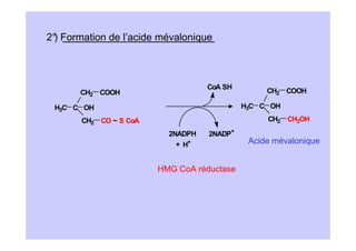 2° Formation de l’acide mévalonique
 )



                                   CoA SH
       CH2 COOH                                  CH2 COOH

 H3C C OH                                   H3C C OH

       CH2 CO ~ S CoA                            CH2 CH2OH

                          2NADPH   2NADP+
                            + H+             Acide mévalonique


                        HMG CoA réductase
 