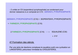 - 2 unités en C5 (isopentényl pyrophosphate) se condensent pour
  donner naissance à un composé en C10 : GERANYL PYROPHOSPHATE


GERANYL PYROPHOSPHATE (C10) + ISOPENTENYL PYROPHOSPHATE

= FARNESYL PYROPHOSPHATE (C15)



   2 FARNESYL PYROPHOSPHATE (C15)                   SQUALENE (C30)

                                                     + PP


  4° Formation des stérols
   /

  Par une série de réactions complexes le squalène subit une cyclisation en
  LANOSTEROL précurseur immédiat du CHOLESTEROL
 