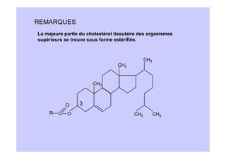 REMARQUES
La majeure partie du cholestérol tissulaire des organismes
supérieurs se trouve sous forme estérifiée.



                                               CH3
                                  CH3


                       CH3



             O   3
     R   C   O                           CH3         CH3
 